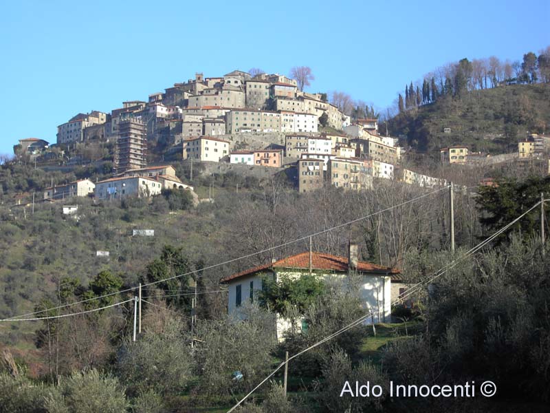 VELLANO: PANORAMA